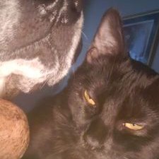 Profile Picture of Felipe Iniguez (@FelipeIniguez14) on Twitter