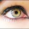 Profile Picture of Erin Leventhal (@Erin-Leventhal) on Facebook
