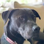 Profile Picture of David Myer (@david.myer.37) on Instagram