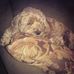 Profile Picture of Nila Manning (@nila.manning.7) on Facebook