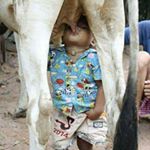 Profile Picture of brian godfrey (@brian5428) on Instagram