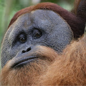 Profile Picture of Michael Salter (@michaelsalter2473) on Youtube