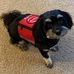 Profile Picture of Lily McGee (@Lily-McGee) on Facebook