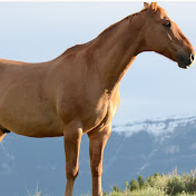 Profile Picture of Hussain Hamza Champions Superhero (@hussainhamzachampionssuper2650) on Youtube