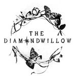 Profile Picture of One Of A Kind Crystal Jewelry - by Kristi - (@the.diamondwillow) on Instagram