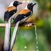 Profile Picture of Tariq Manhas (@Tariq-Manhas) on Facebook
