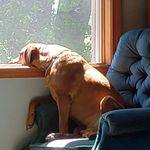 Profile Picture of Steven Cooley (@steven.cooley.104) on Instagram