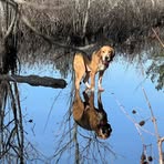 Profile Picture of Todd Ackerman (@Todd-Ackerman) on Facebook