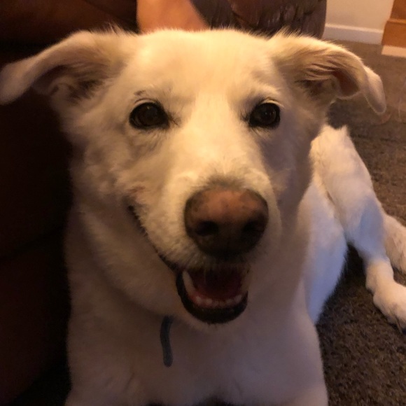 Profile Picture of Carson Yoder (@b000ts) on Poshmark