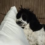 Profile Picture of Karl Gilling (@Karl-Gilling) on Facebook