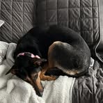 Profile Picture of Kyle Chadwick (@Kyle-Chadwick) on Facebook