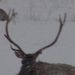 Profile Picture of Andrew Scroggins (@andrewervinscroggins) on Pinterest