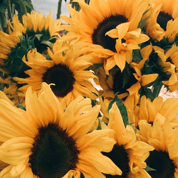 Profile Picture of Tori Benoit (@_tori_b_) on Poshmark