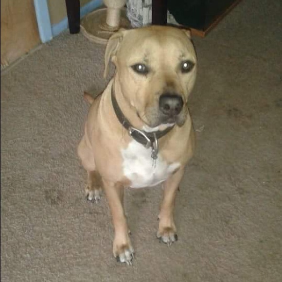 Profile Picture of Maddie Killham (@maddieaaaa) on Poshmark