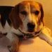 Profile Picture of George B. Basil (@george.b.basil) on Facebook