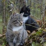 Profile Picture of Howard (@howardsalter) on Instagram