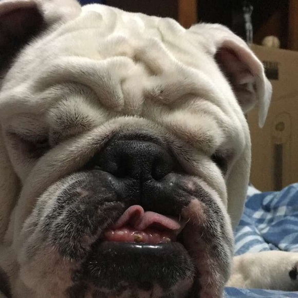 Profile Picture of Jimmie Davis (@rangers2418) on Poshmark