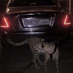 Profile Picture of john__swenson (@john__swenson) on Instagram