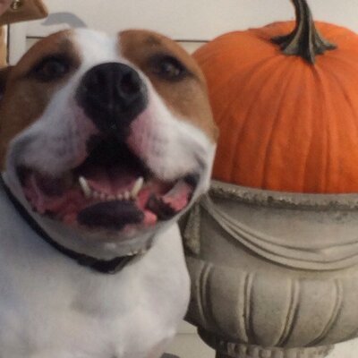 Profile Picture of Chris L Fillmore (@FillmoreL) on Twitter