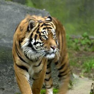 Profile Picture of Vince Parker (@vinceparker1974) on Twitter