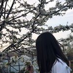 Profile Picture of Molly Kim (@mollykim_8882) on Instagram