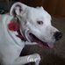 Profile Picture of Pinkie Lee (@pinkie.lee.18007) on Facebook