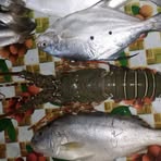 Profile Picture of Genesis Person (@genesis.person.5) on Facebook