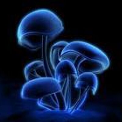 Profile Picture of Pablo Quinteros (@pabloquinteros2) on Twitter