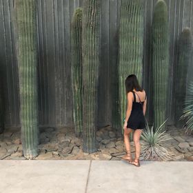 Profile Picture of cindy huynh (@vivalacindy) on Pinterest