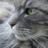 Profile Picture of Dawn Ferrante (@dawn-ferrante-3) on Quora