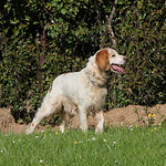 Profile Picture of Javier Gonzalez Canellada (@javier gonzalez canellada) on Flickr