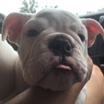 Profile Picture of Joshua_moya (@joshua_moya24) on Instagram