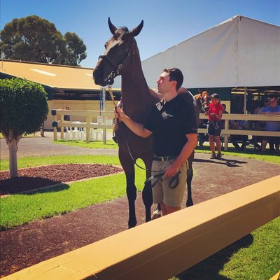 Profile Picture of Adam Perryman (@pezzza47) on Twitter