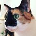 Profile Picture of Kimberly Canfield (@kimmycanfield) on Pinterest