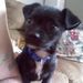 Profile Picture of Joshua Abbott (@fizter) on Pinterest