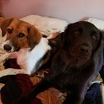 Profile Picture of Kim Hennessee (@kim.hennessee) on Instagram