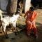 Profile Picture of Sandhya Joshi (@Sandhya-Joshi) on Facebook