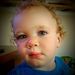 Profile Picture of Adam Greenfield (@Greenyrealty) on Pinterest