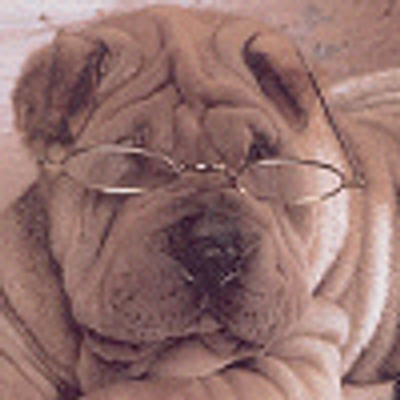 Profile Picture of StephenPattiPhillips (@StephenPatti) on Twitter