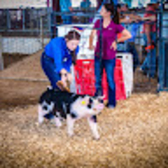 Profile Picture of Anna Kragerud (@annakragerud) on Poshmark