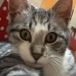 Profile Picture of simoneta/simonik (@finsta._.simo.02) on Instagram