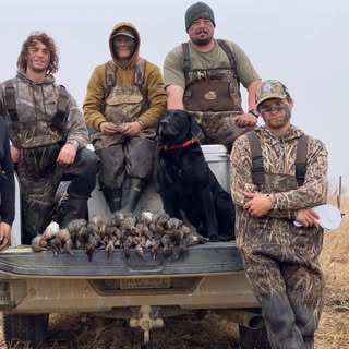 Profile Picture of Casey Buckingham (@buckinghamcasey) on Instagram