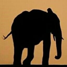 Profile Picture of Gerhard Binder (@binder_gerhard) on Twitter