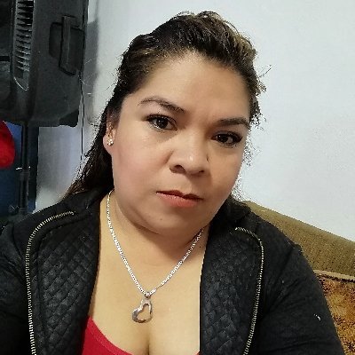 Profile Picture of Blanca Azucena Ruiz Villagómez (@BlancaA24099336) on Twitter