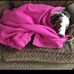Profile Picture of Lily Gibbs (@lily.gibbs.52831) on Facebook