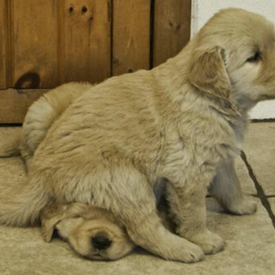 Profile Picture of Heidi-mari Swart (@HeidiMariSwart) on Twitter