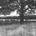 Profile Picture of greg snyder (@gregsnyder72) on Instagram