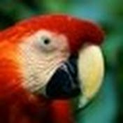 Profile Picture of Michael Kiefer (@MichaelKiefer_rmk) on Youtube