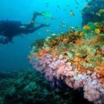 Profile Picture of Christophe Benoit (@cris_pete) on Twitter