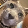 Profile Picture of eva beaver (@@evabeaver.com.au.bug) on Tiktok